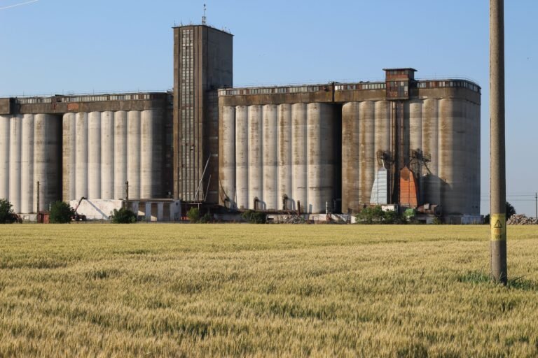 A vast wheat field in front of large industrial grain silos under a clear blue sky.
